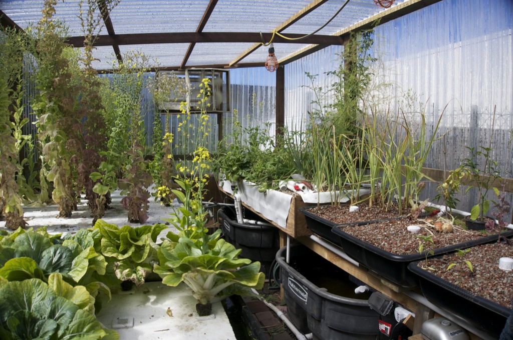 inside of greenhouse